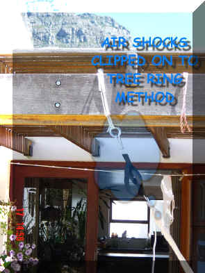 buy hammocks cape south africa.jpg (147846 bytes)