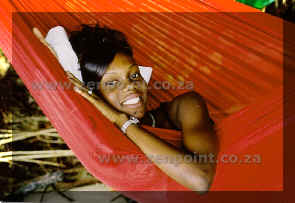 hammocks sale manufacture cape town johannesburg 1.jpg (111448 bytes)