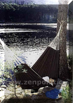 hammocks sale manufacture cape town johannesburg 47.jpg (88611 bytes)