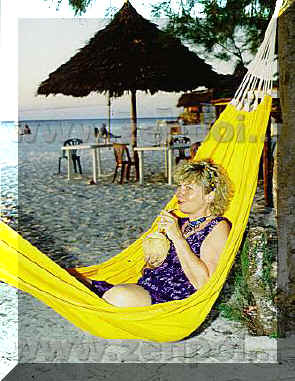 hammocks sale manufacture cape town johannesburg 59.jpg (35698 bytes)