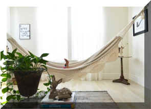 indoor-hammock-mycakies.jpg (60421 bytes)